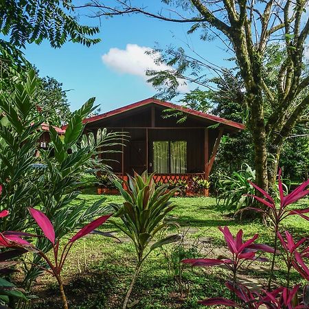Hotel Faro Arenal La Fortuna Kültér fotó
