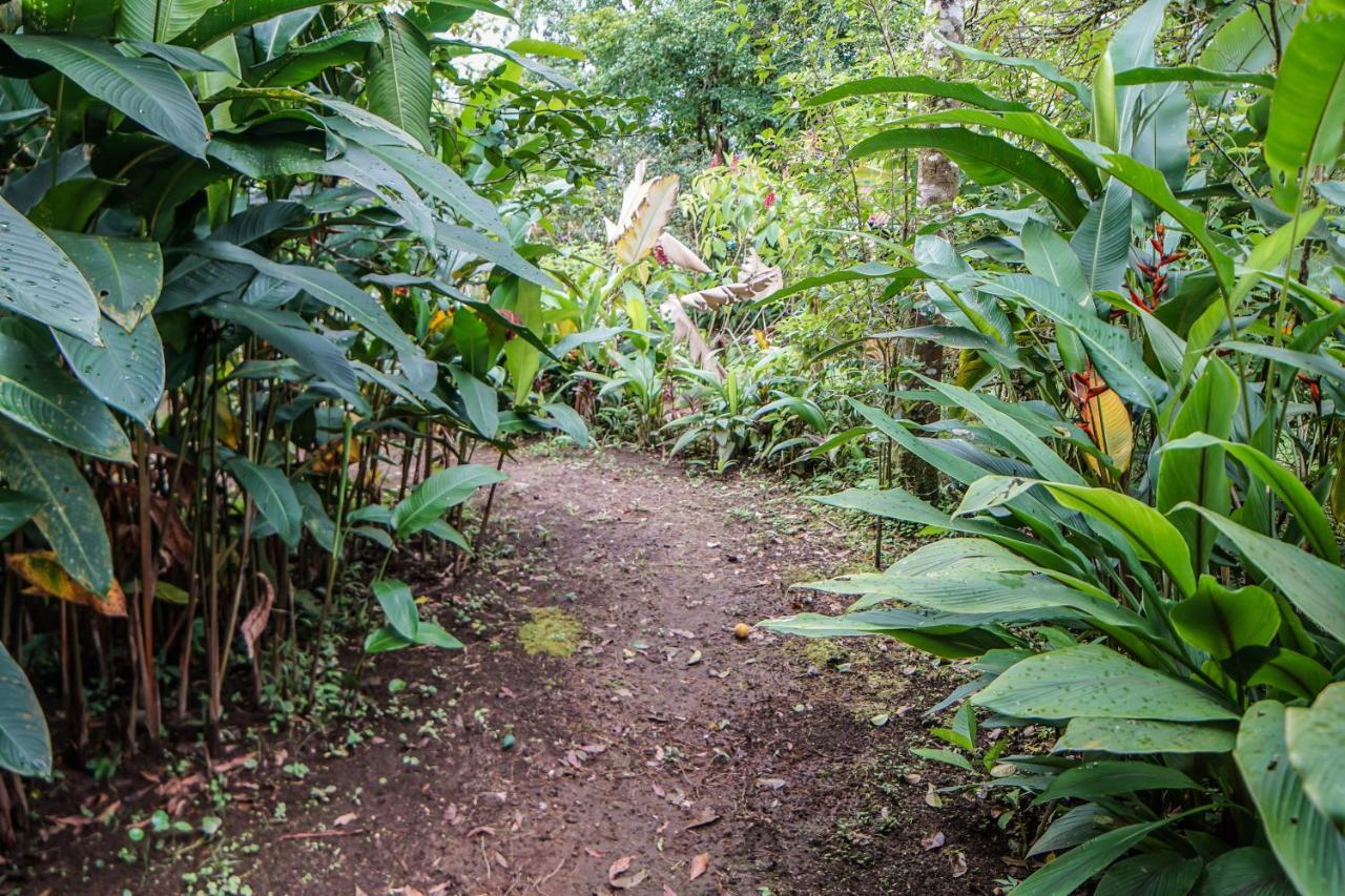 Hotel Faro Arenal La Fortuna Kültér fotó